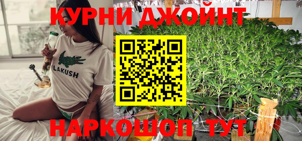Конопля планчик Бердск